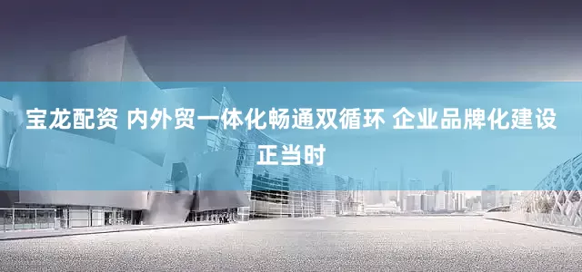 宝龙配资 内外贸一体化畅通双循环 企业品牌化建设正当时
