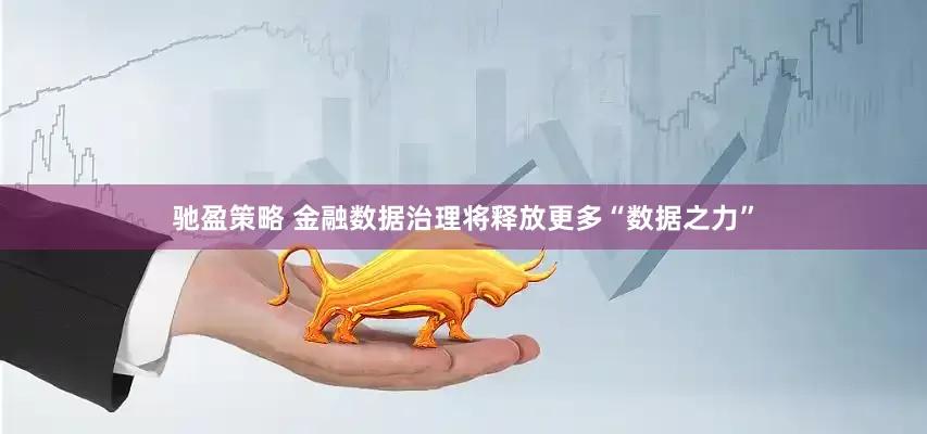 驰盈策略 金融数据治理将释放更多“数据之力”