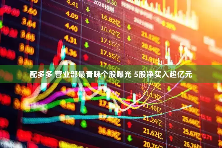 配多多 营业部最青睐个股曝光 5股净买入超亿元