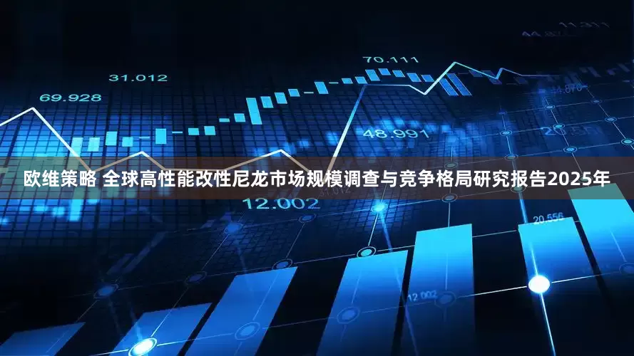 欧维策略 全球高性能改性尼龙市场规模调查与竞争格局研究报告2025年