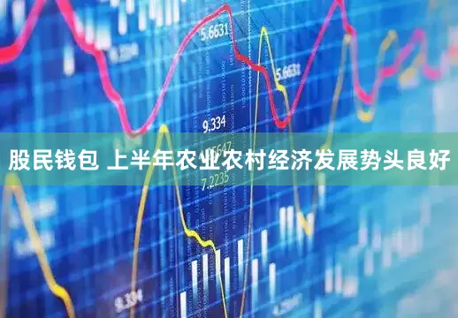 股民钱包 上半年农业农村经济发展势头良好
