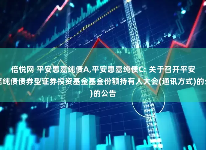 倍悦网 平安惠嘉纯债A,平安惠嘉纯债C: 关于召开平安惠嘉纯债债券型证券投资基金基金份额持有人大会(通讯方式)的公告